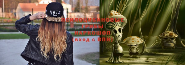 индика Балабаново