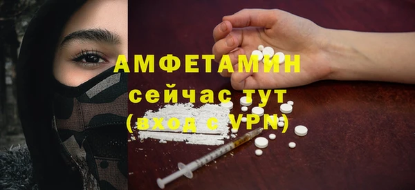 индика Балабаново