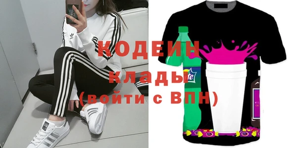 индика Балабаново