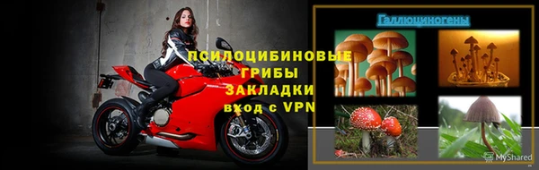 индика Балабаново