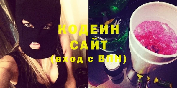 индика Балабаново
