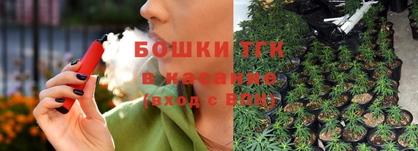 индика Балабаново