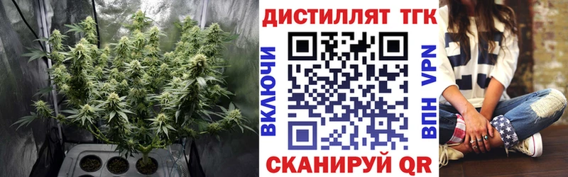 купить наркотик  MEGA tor  ТГК концентрат  Кировск 