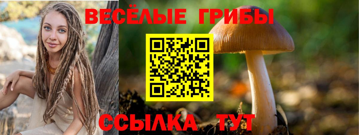 Псилоцибиновые грибы ЛСД  Вход с VPN  Кировск  Галлюциногенные грибы Cubensis 